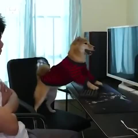 Игра закончилась