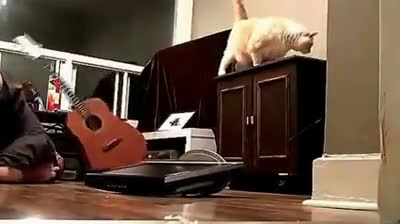 Покажите своих питомцев!