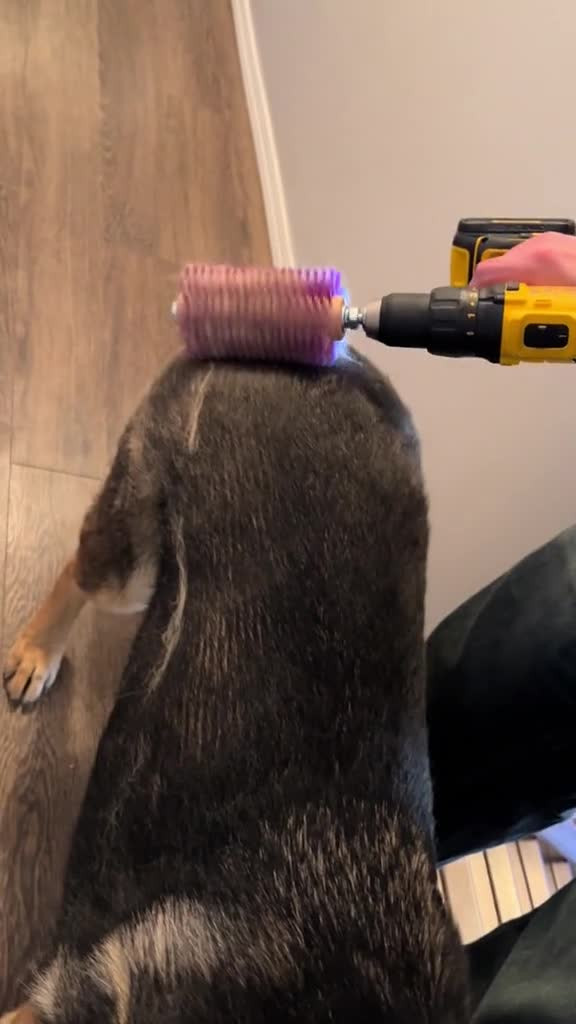 Разное. Креатив с чисткой шерсти.