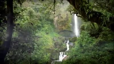 Одинокий пастух