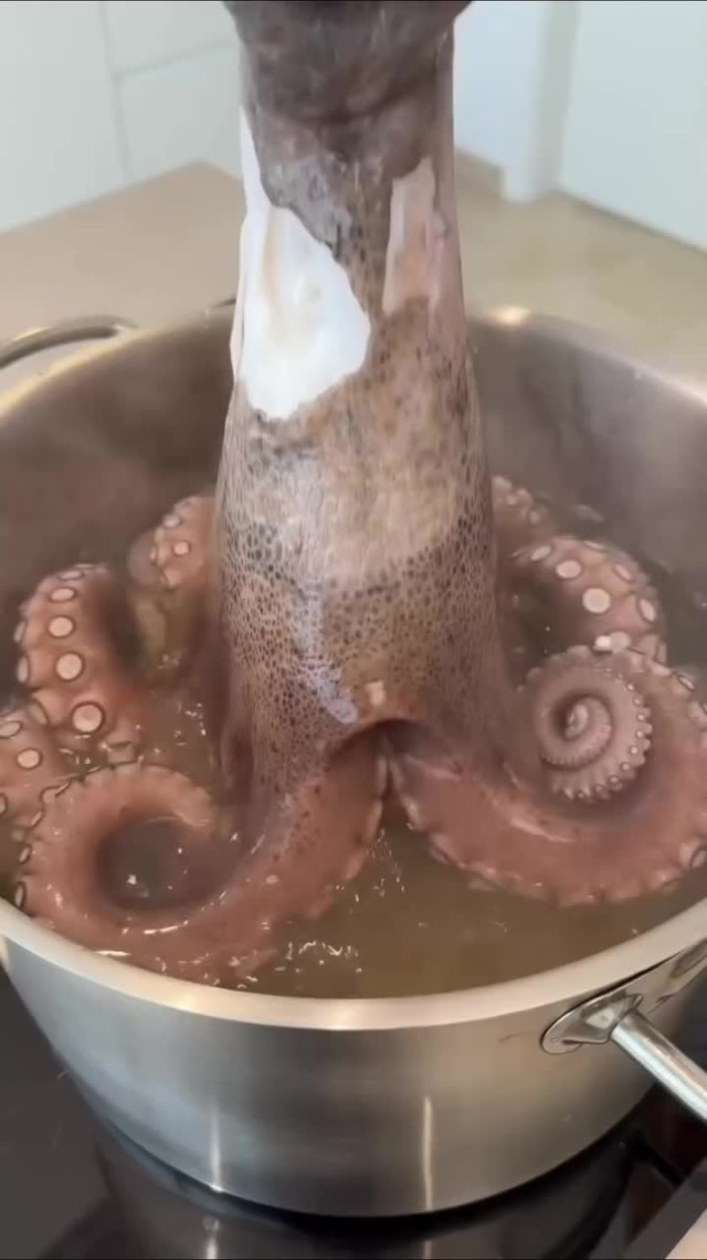 Все о морепродуктах