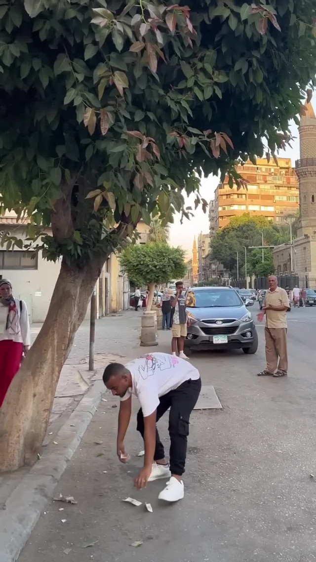 Денежное дерево. Просто постучите по нему!