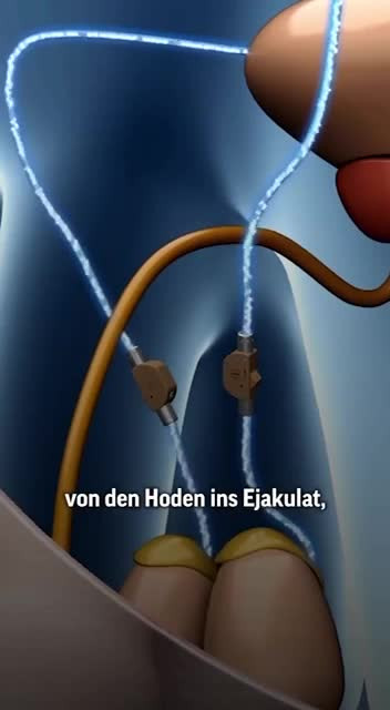 Разное. Кнопка выключения спермы.