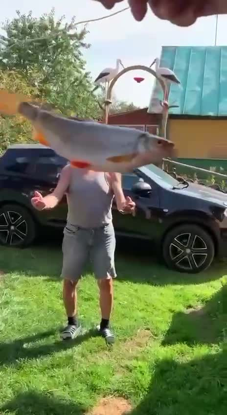 Фотомонтаж. Как восхитить зрителя?