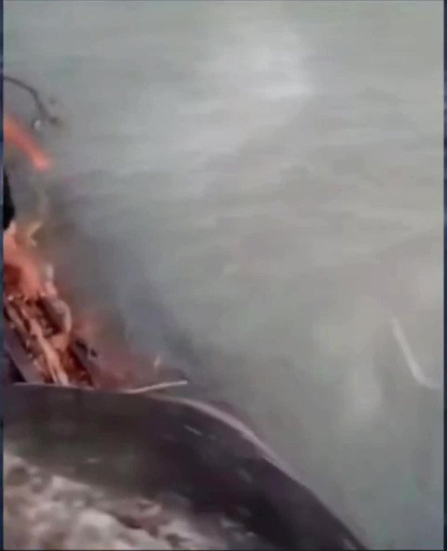 Видео приколы (юмор). Не удалось поплавать.