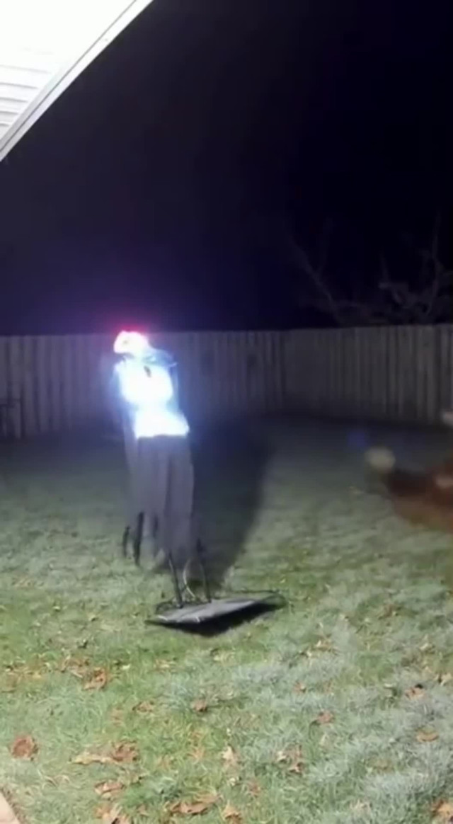 Хеллуин и медведь. Защищаю своих!