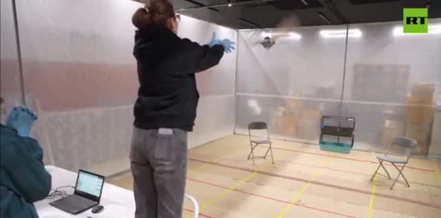 Голубь с чипом