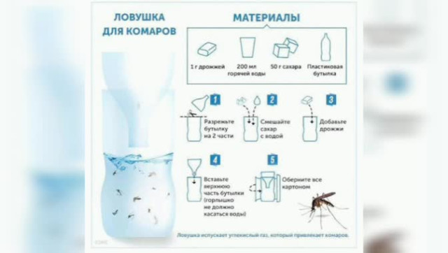 Туристу. Комаров не будет, если...