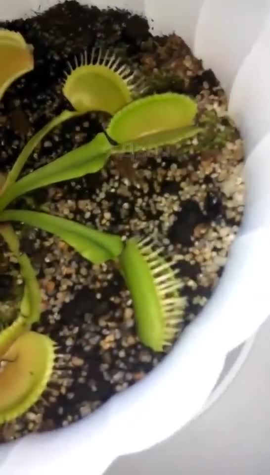 Видео приколы (юмор). Месть не заставила себя ждать!