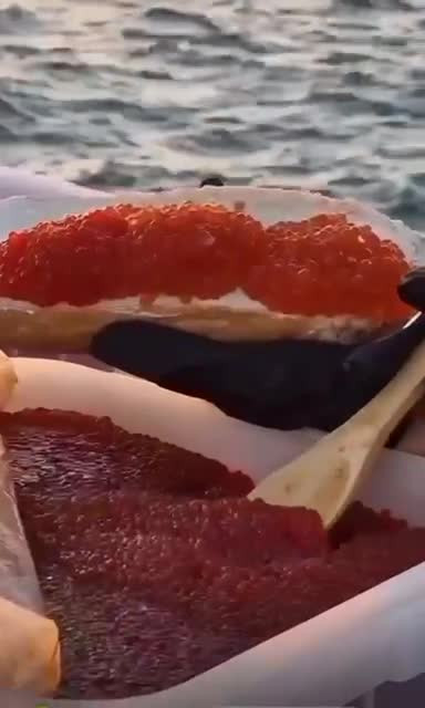 Видео- прикол (юмор). Чтоб Вы так жили!