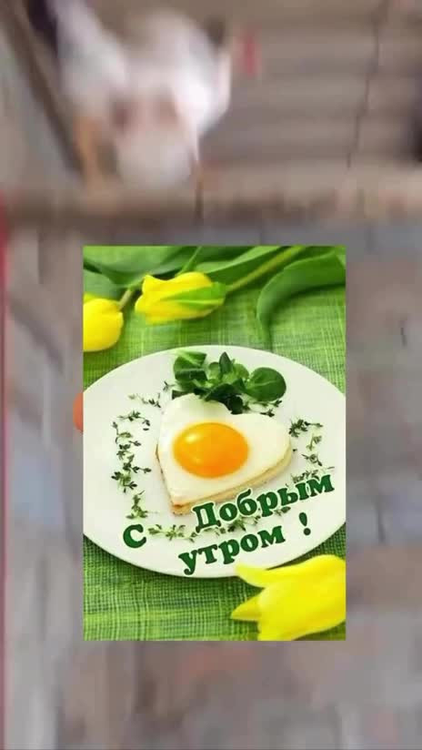 Доброе утро!