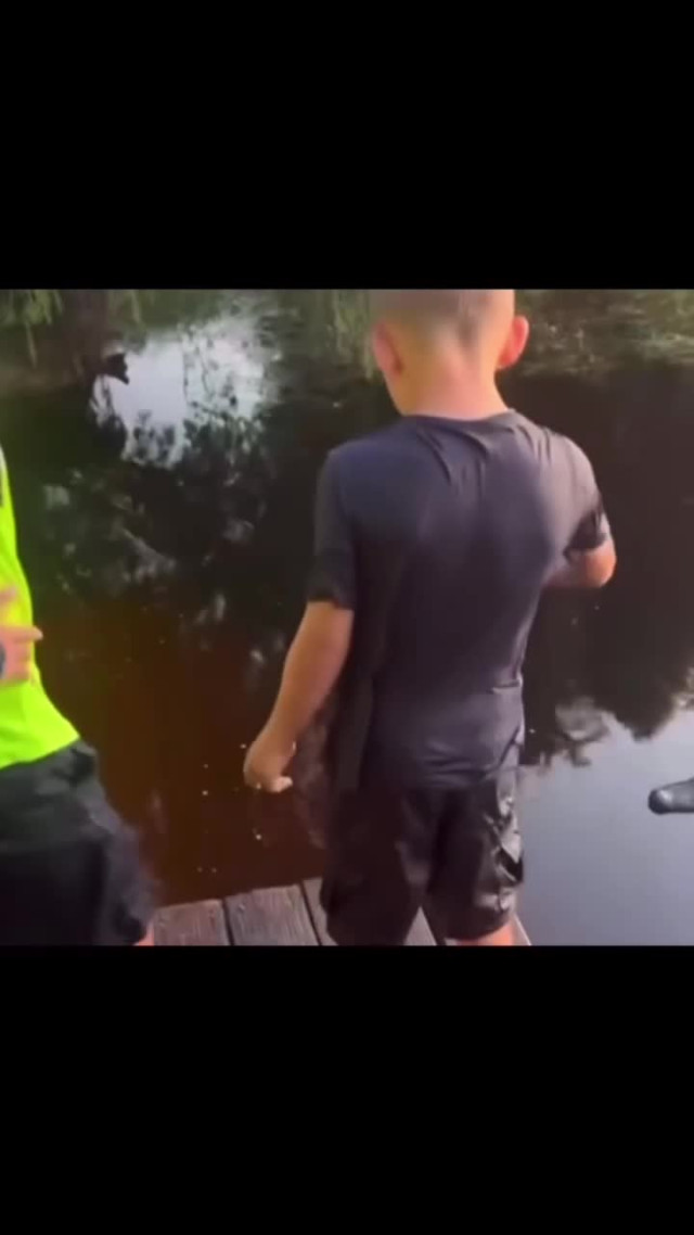 Разное. Крокодил и малыш.