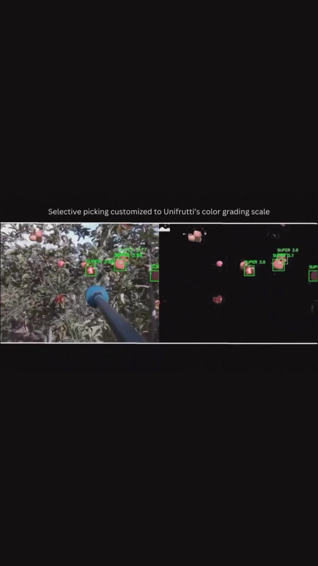 Как собирать яблоки с помощью дронов?