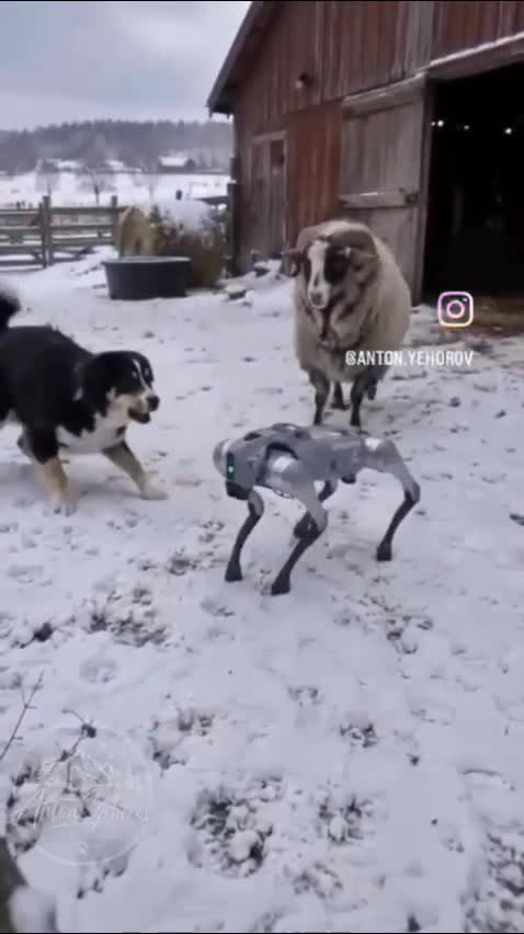 Забыл помочиться...