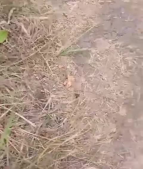 Почему нельзя резать растяжку?