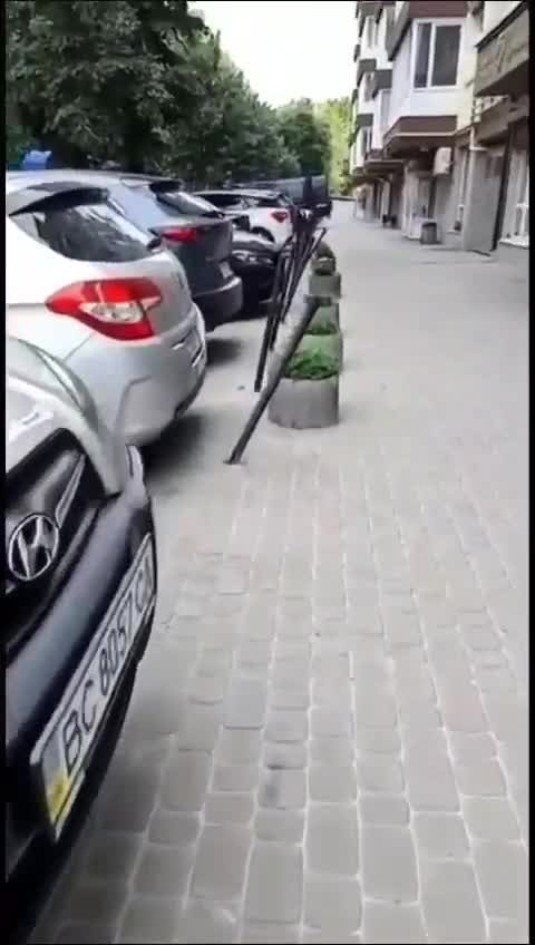 Видео приколы (юмор). 25 см.