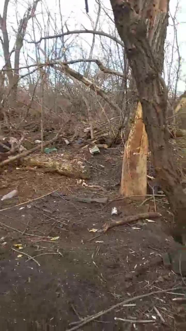 Что такое ЛБС?