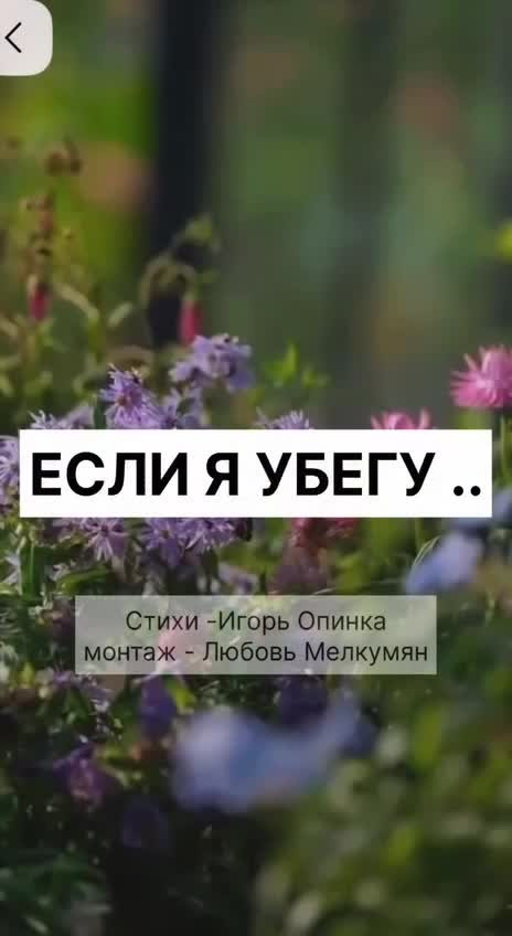 "Если я убегу..."