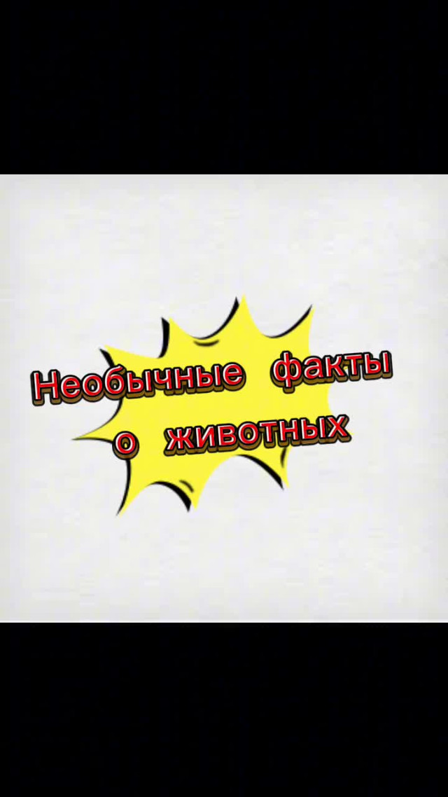 Животные. Необычные факты о животных