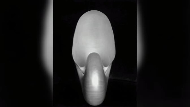 Искусство. Фото за 1100000 долларов.