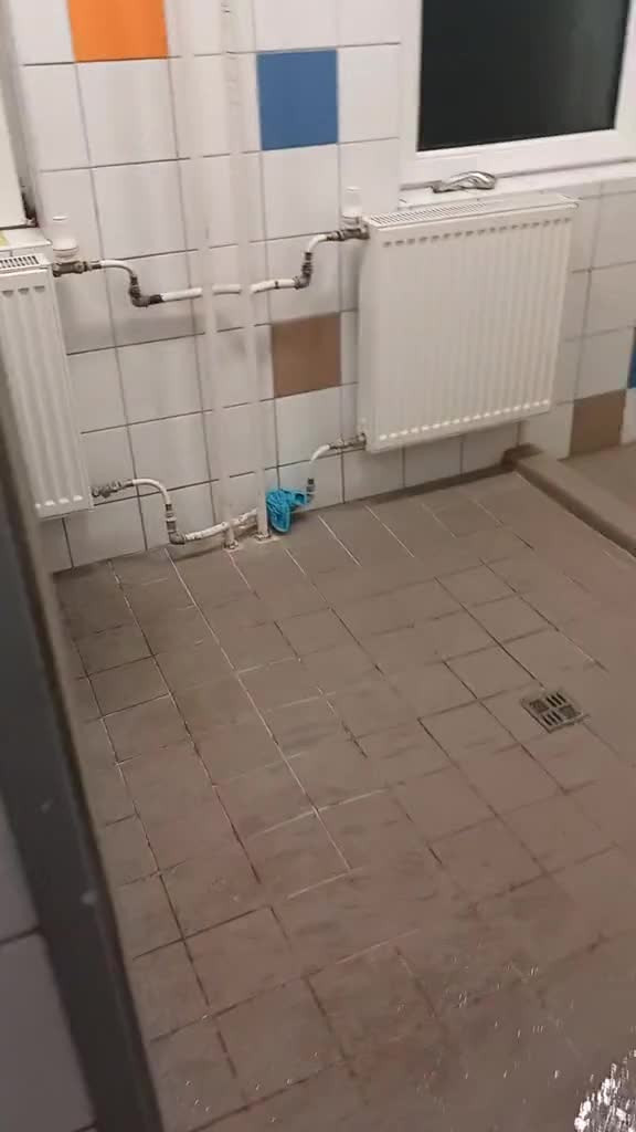 Видео прикол (юмор). Индийский танец со "змеёй".