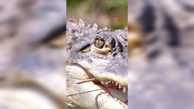 Разное. Странные люди.