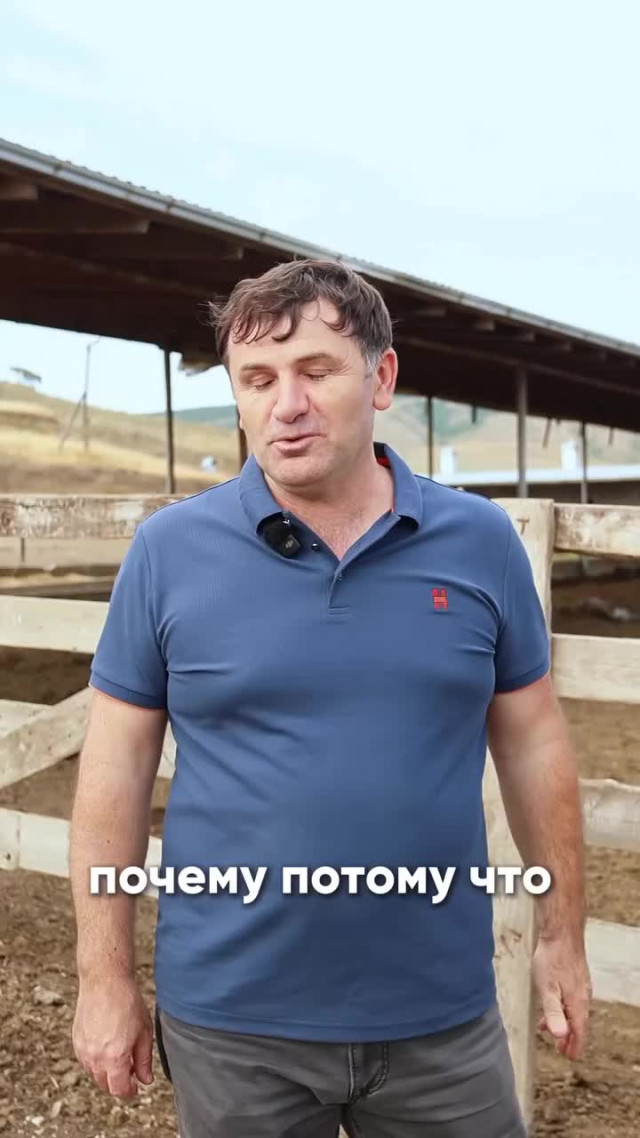 Сколько стоит настоящее сливочное масло?