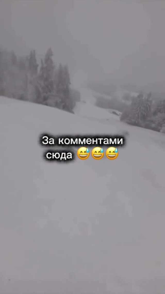 "Низко пошел, наверно, к дождю..."