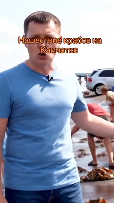 Дары природы: Камчатский краб сам идёт на стол.