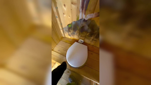 Видео прикол (юмор). Ералаш 2.