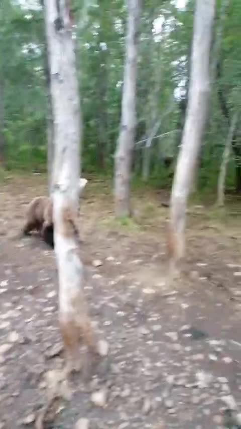 п.Тирлян, Белорецкого района Республика Башкортостан. Россия