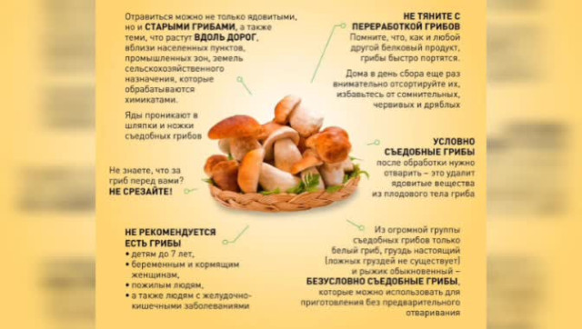 Правильные продукты (Ваше здоровье). Грибы.