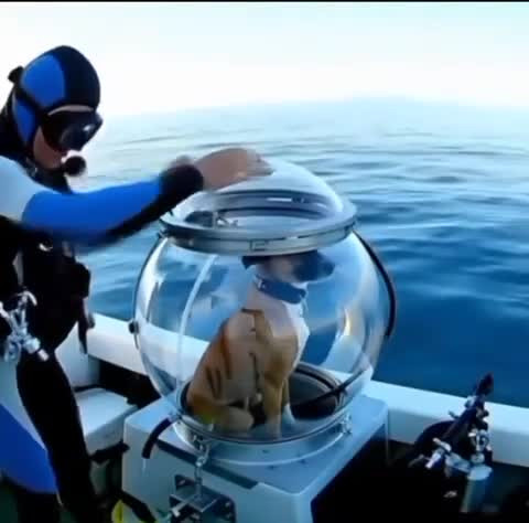 Мечты обязаны сбываться!