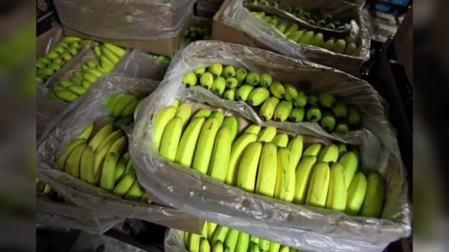 Правильные продукты (мое здоровье). Обязательно мойте фрукты!