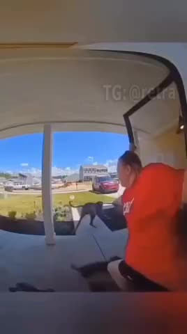 Как убедить собаку?