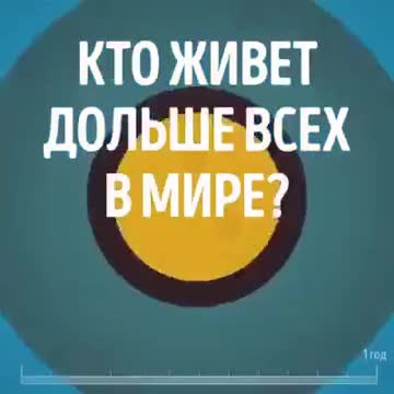 Кто живёт дольше всех?