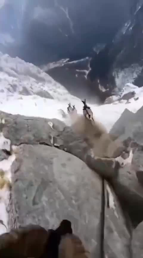 Совмещение работы камеры и ИИ